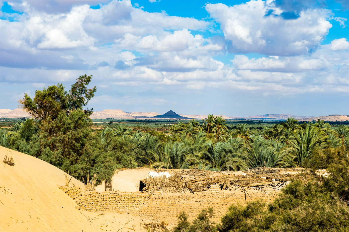 Oasis de Bahariya