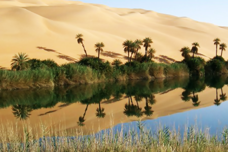 Aventura Nocturna al Oasis de Bahariya y el Desierto Negro y Blanco desde El Cairo