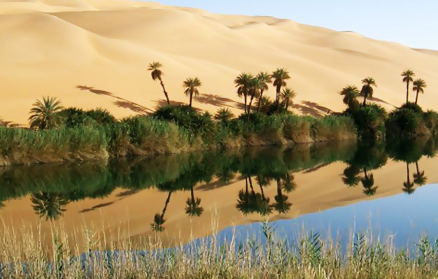 Aventura Nocturna al Oasis de Bahariya y el Desierto Negro y Blanco desde El Cairo