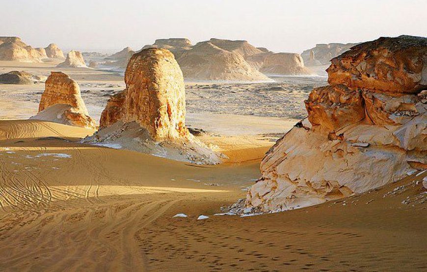 Aventura Nocturna al Oasis de Bahariya y el Desierto Negro y Blanco desde El Cairo