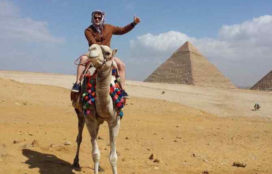 Visita guiada privada a las pirámides de Giza, Saqqara, Menfis y almuerzo