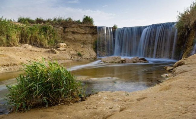 Safari en el Oasis de Fayoum y Valle de las Ballenas con Almuerzo Tradicional