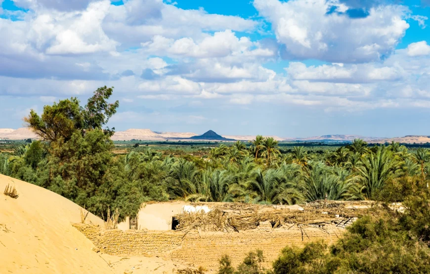 Aventura Nocturna al Oasis de Bahariya y el Desierto Negro y Blanco desde El Cairo